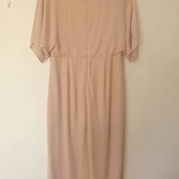 Divine Avenue Blush/Pink Dress - Picture 3 of 3